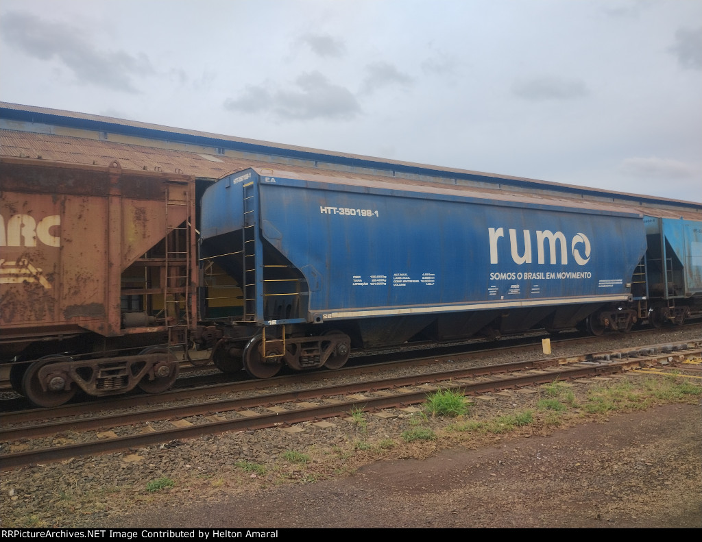RUMO HTT-350198-1